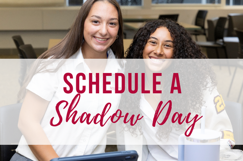 Shadow Student